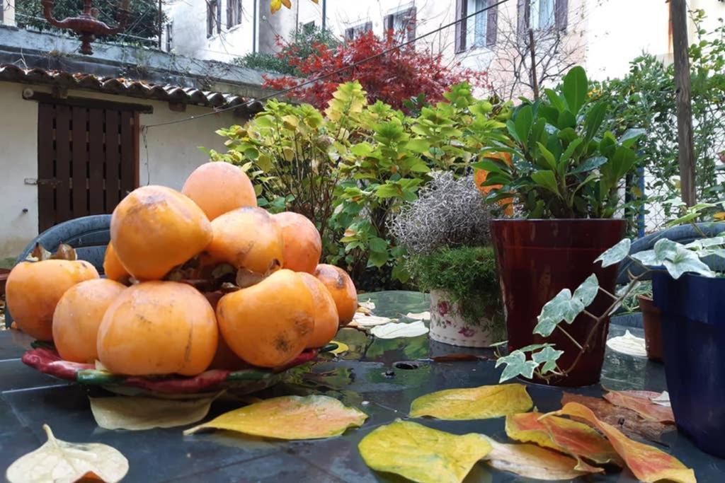 דירות ונציה Casa Pusterla מראה חיצוני תמונה